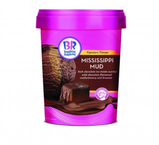 Baskin Robbins Mississippi Mud 450 ml