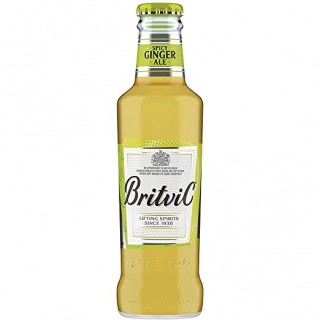 Britvic Ginger Ale 200ml
