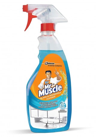 MR MUSCLE Glass Cleaner Trigger R72 500ML